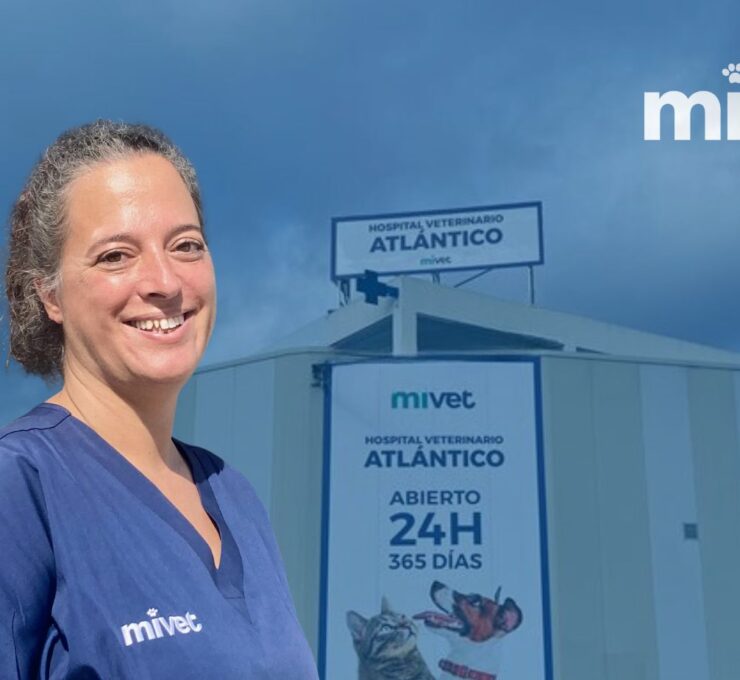 Bienvenida Verónica Vieitez: Nueva Directora Médica del Hospital Veterinario Atlántico