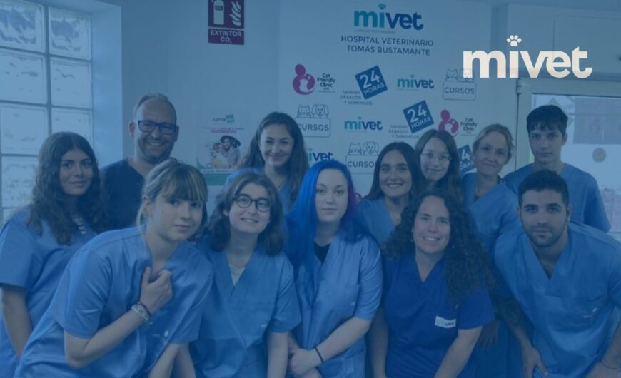 Novedades en la región Norte: expansión y formación en MiVet