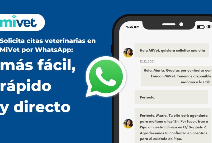 MiVet WhatsApp: más fácil, rápido y directo