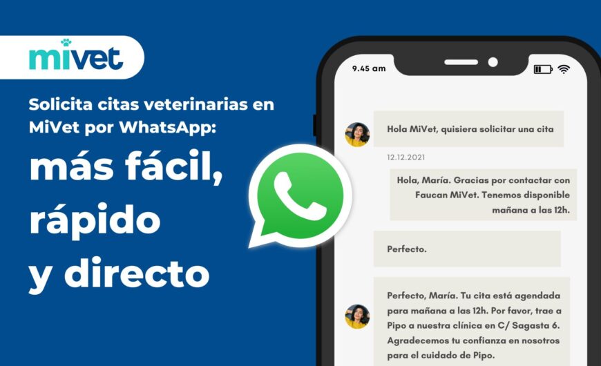 MiVet WhatsApp: más fácil, rápido y directo