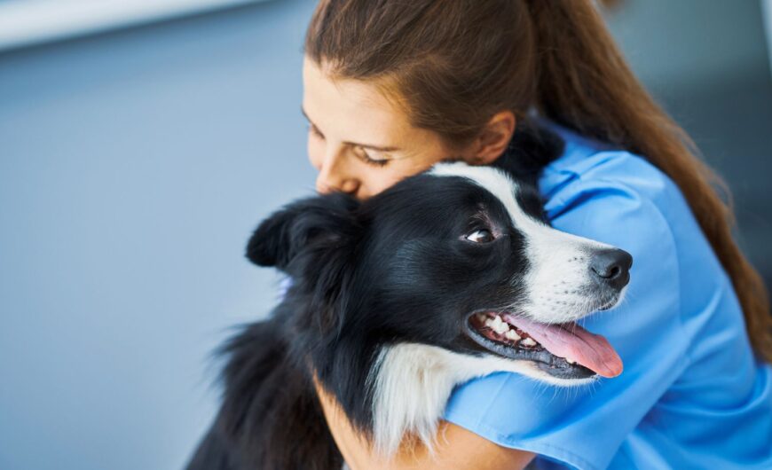 Estas son las clínicas veterinarias más destacadas en Barcelona
