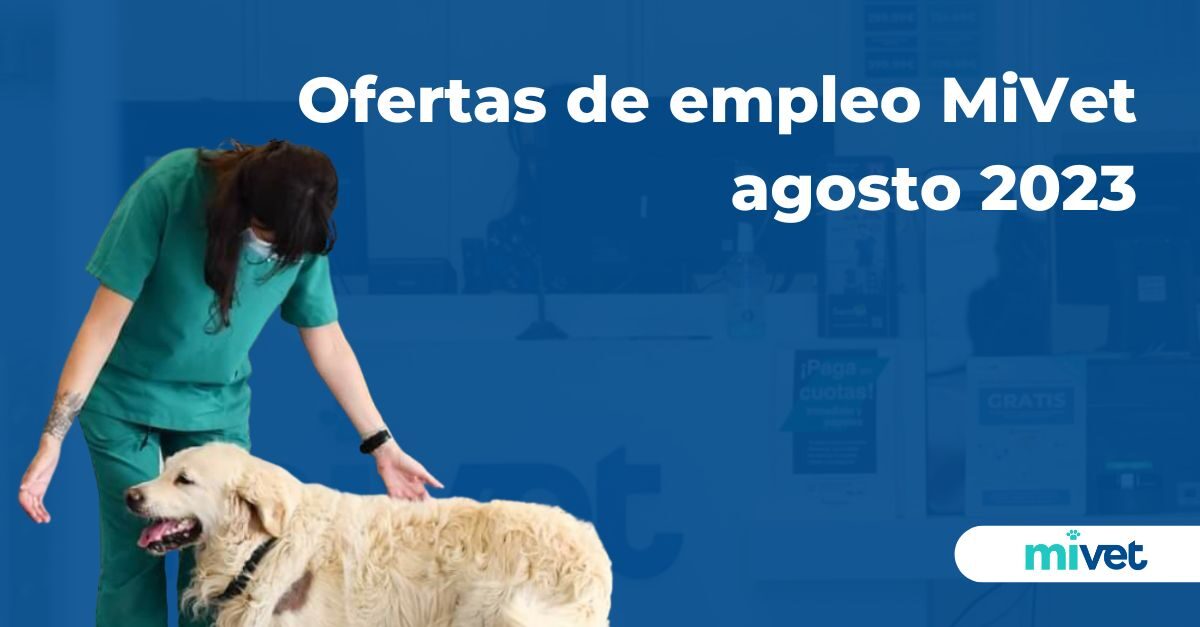 Ofertas de empleo veterinario agosto MiVet