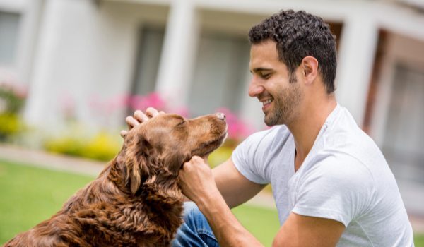 Estas son las protectoras de animales más destacadas en Sant Cugat