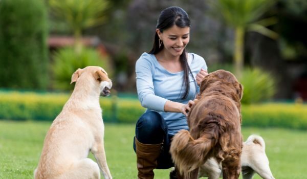 Mejores centros de adopción en Montroy: Adopta y salva una vida