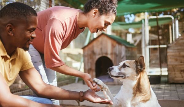 Estas son las protectoras de animales más destacadas de Cartagena