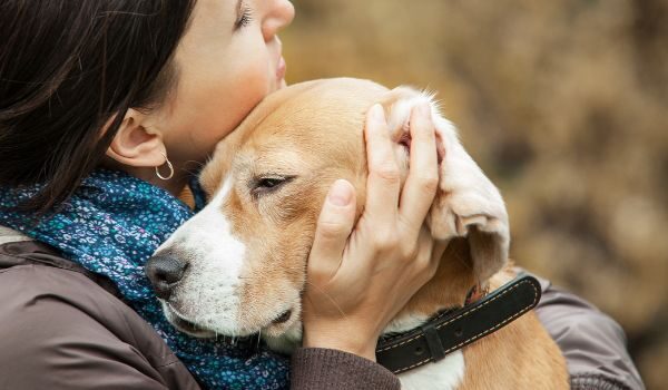 Descubre cuáles son los mejores centros de adopción en Bilbao