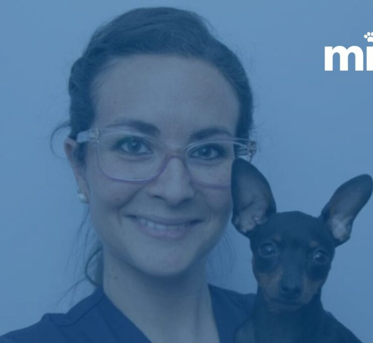 Beatriz Ríos examina el rol de la veterinaria y los servicios de las clínicas del sector