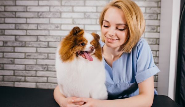 Descubre cuáles son las 3 mejores peluquerías caninas en Barakaldo