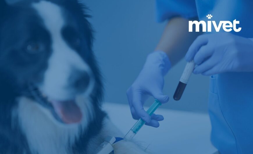¿Estás preparado para vender tu clínica veterinaria?