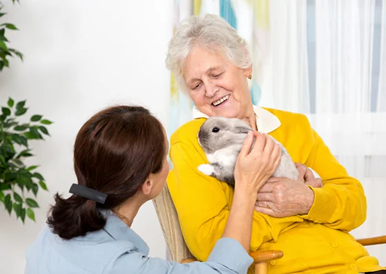 Diseño sin título-Jan-24-2024-04-59-41-3338-PM