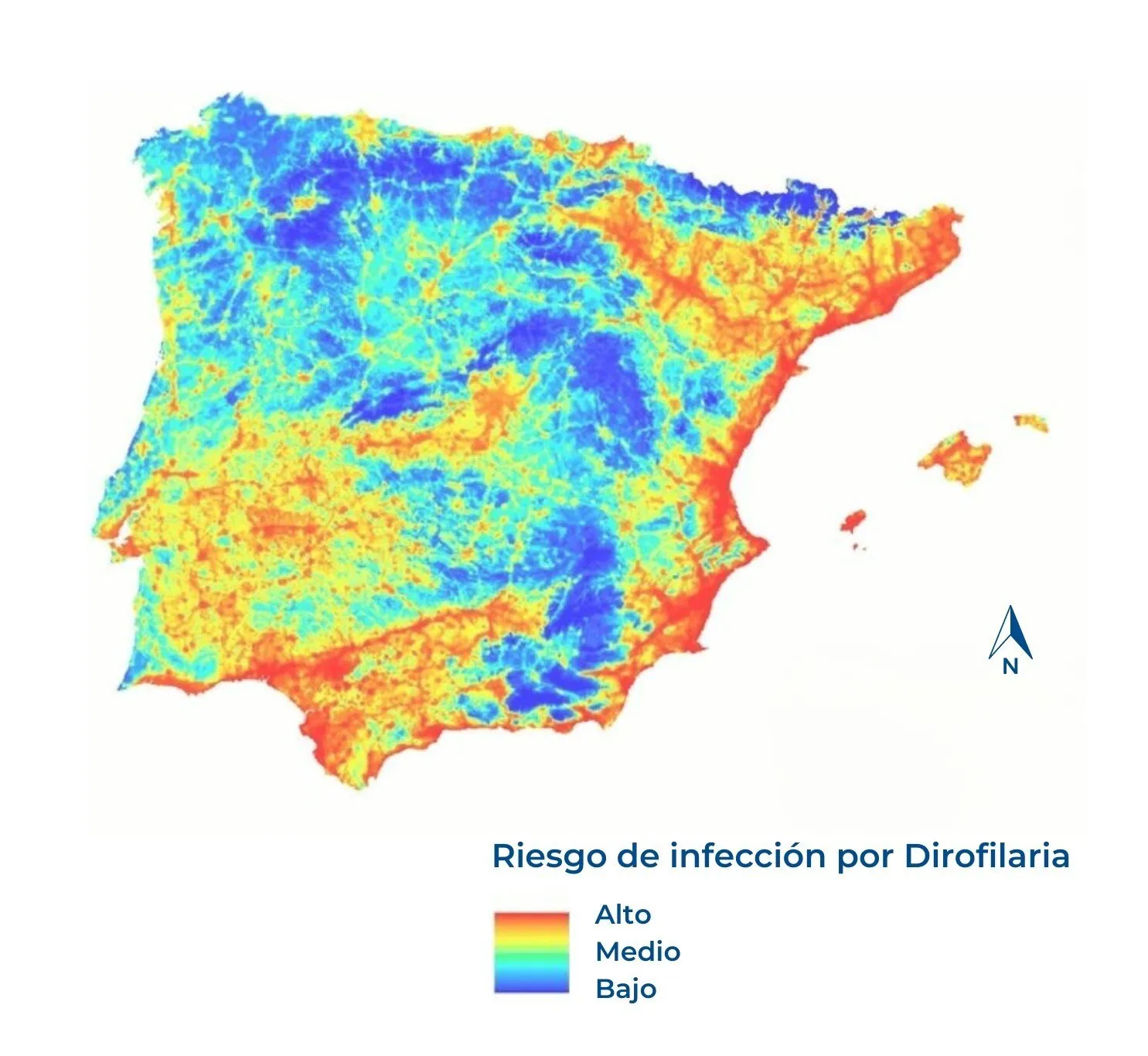 filariosis canina mapa españa filariosis canina mapa españa
