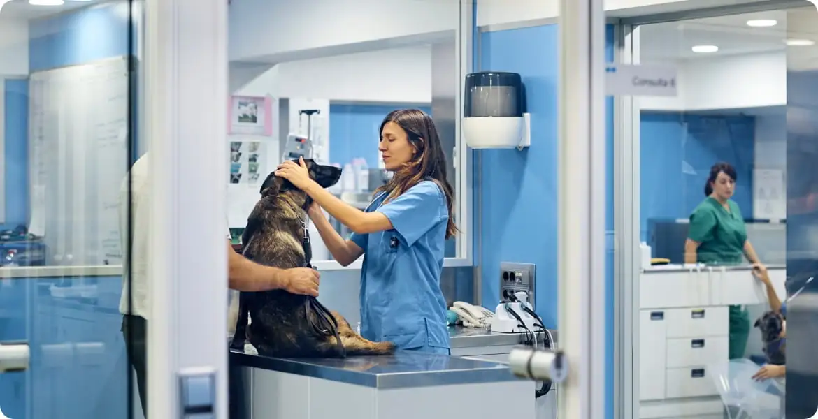 clínicas y hospitales veterinarios