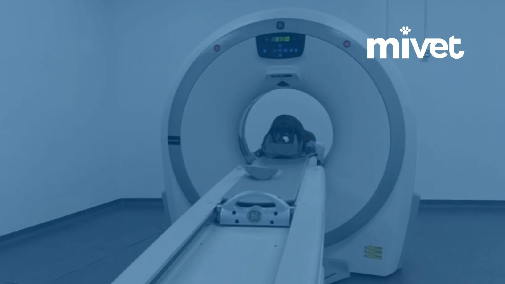 MiVet Hospital Veterinario Atlántico en A Coruña