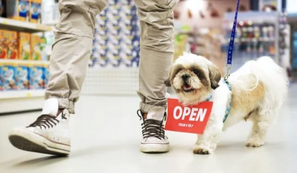 Estas son las 10 mejores tiendas de mascotas en Madrid