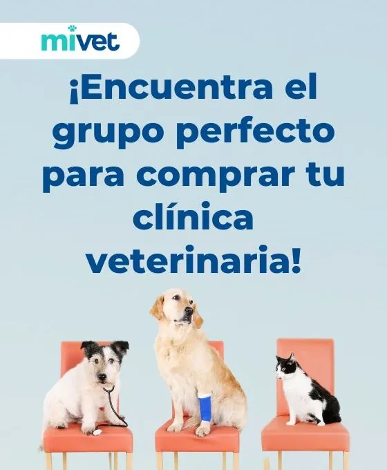 ¿Cómo encontrar un comprador para tu clínica veterinaria?