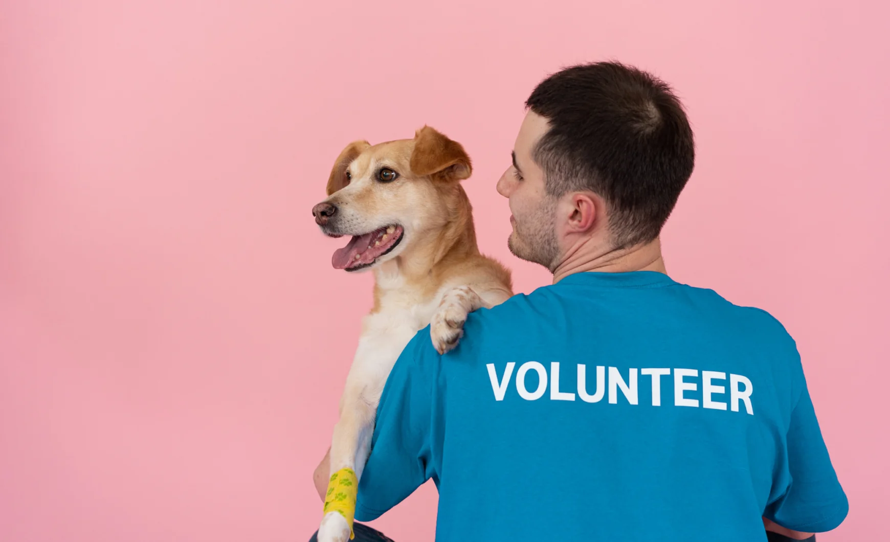 Voluntariado con animales en Barcelona: centros y requisitos