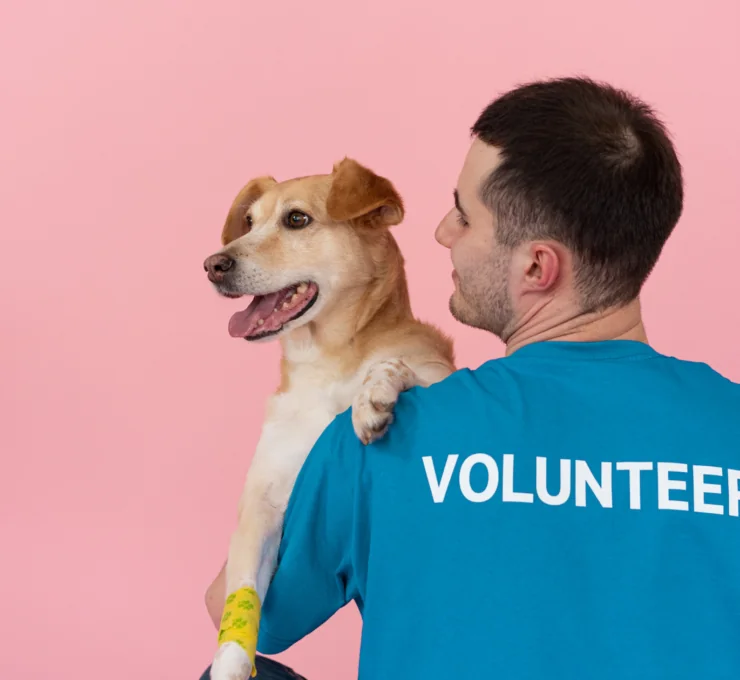Voluntariado con animales en Barcelona: centros y requisitos Voluntariado con animales en Barcelona: centros y requisitos