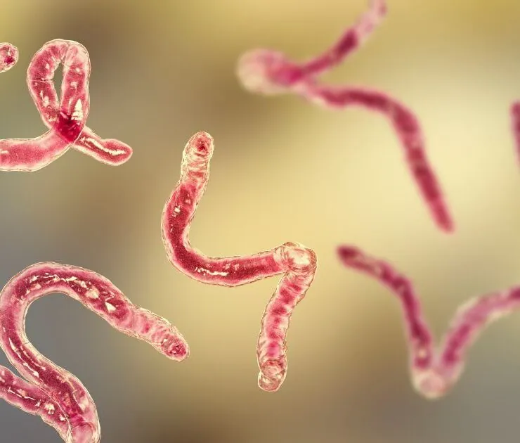 Cuándo y cómo desparasitar a un perro Cuándo y cómo desparasitar a un perro