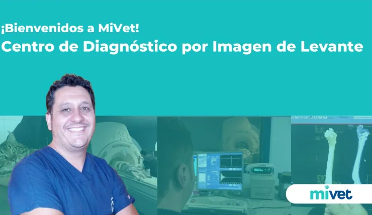 Damos la bienvenida a MiVet al Centro de Diagnóstico por Imagen de Levante Damos la bienvenida a MiVet al Centro de Diagnóstico por Imagen de Levante