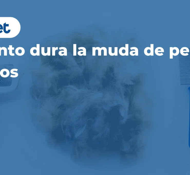 Cuánto dura la muda de pelo en perros