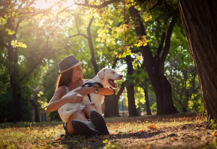 ¿Por qué es importante realizar una limpieza dental en perros?