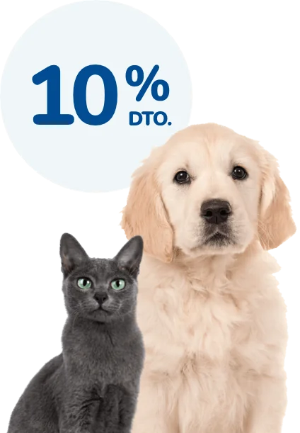 Esterilización. La mejor prevención Esterilización. La mejor prevención