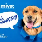 MiVet, nuevo patrocinador oficial del Club de Mascotas del Real Oviedo MiVet, nuevo patrocinador oficial del Club de Mascotas del Real Oviedo