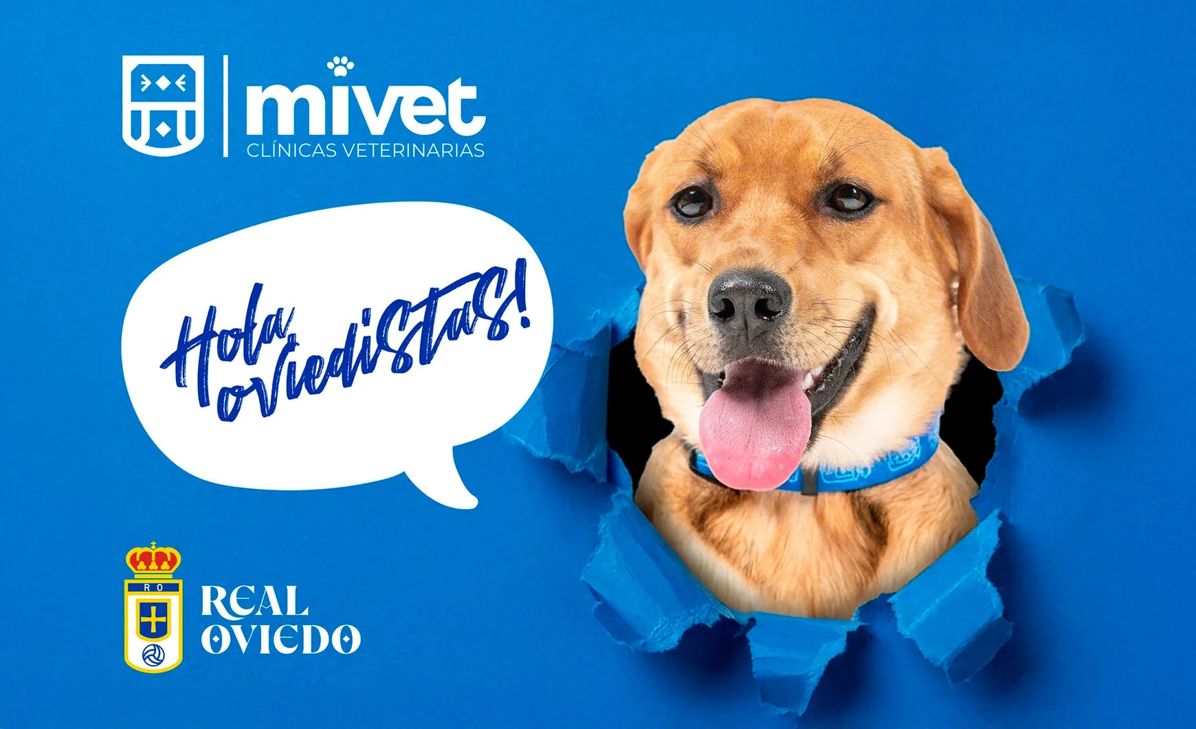 MiVet, nuevo patrocinador oficial del Club de Mascotas del Real Oviedo