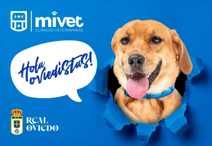 MiVet, nuevo patrocinador oficial del Club de Mascotas del Real Oviedo