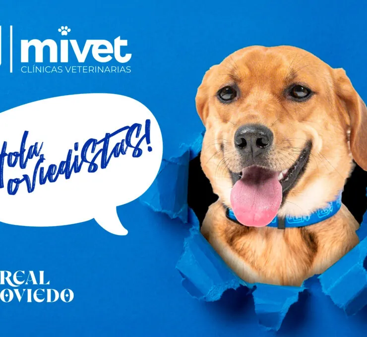 MiVet, nuevo patrocinador oficial del Club de Mascotas del Real Oviedo MiVet, nuevo patrocinador oficial del Club de Mascotas del Real Oviedo