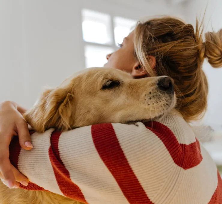 ¿Cómo se cura la orquitis testicular en perros y cuáles son sus causas? ¿Cómo se cura la orquitis testicular en perros y cuáles son sus causas?