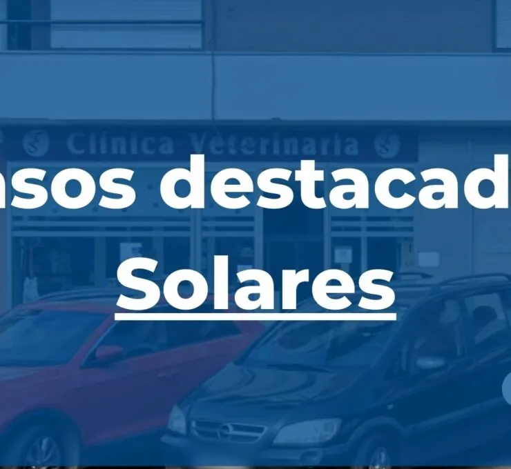 Max ya no sufre molestias tras cirugía de lipomas
