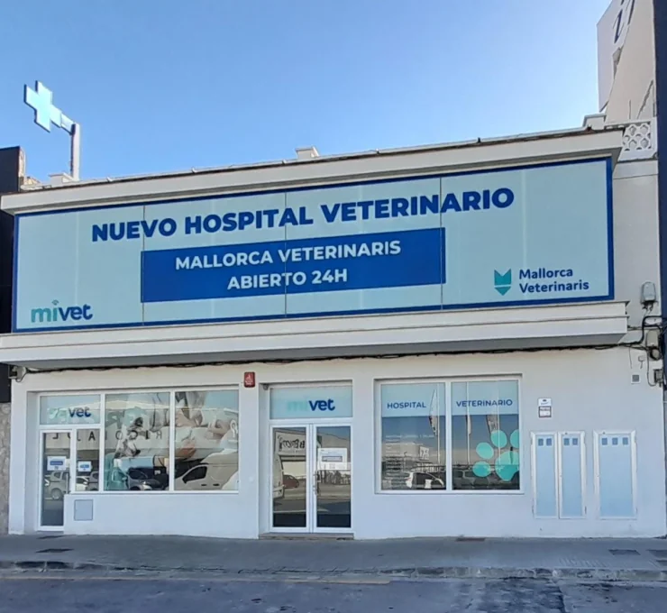 ¡Gran inauguración! Hospital Veterinario Mallorca Veterinaris