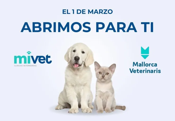 Descubre el nuevo Hospital Veterinario Mallorca Veterinaris