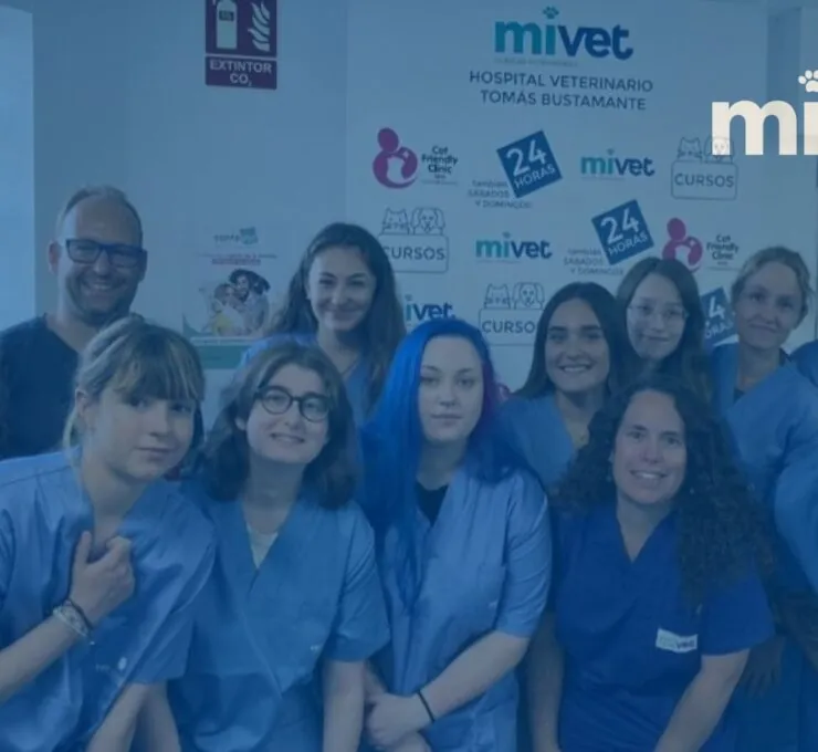 Novedades en la región Norte: expansión y formación en MiVet Novedades en la región Norte: expansión y formación en MiVet