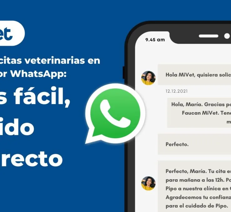 MiVet WhatsApp: más fácil, rápido y directo