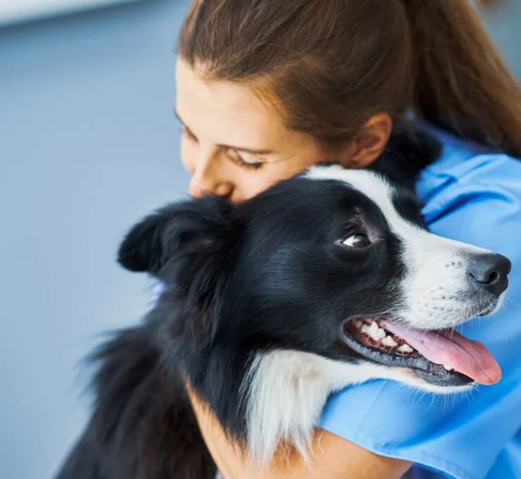 Estas son las clínicas veterinarias más destacadas en Barcelona