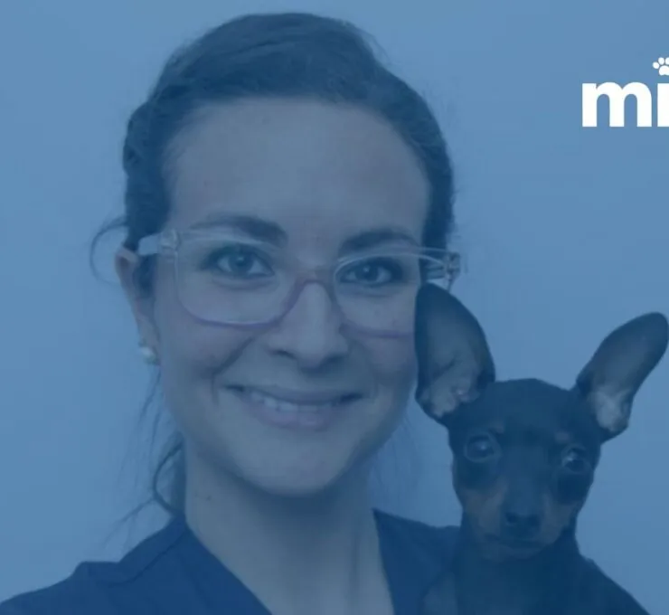 Beatriz Ríos examina el rol de la veterinaria y los servicios de las clínicas del sector Beatriz Ríos examina el rol de la veterinaria y los servicios de las clínicas del sector