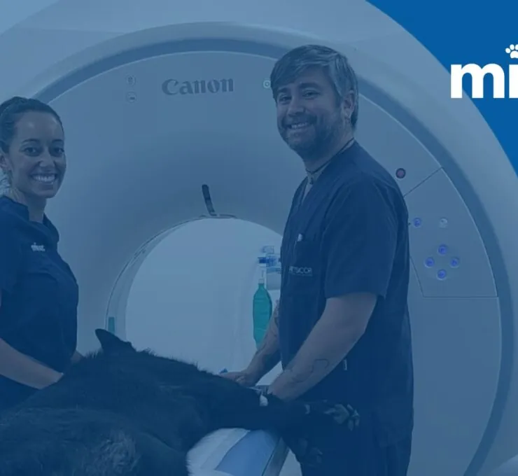 La incorporación de un TAC de última generación en Córdoba La incorporación de un TAC de última generación en Córdoba